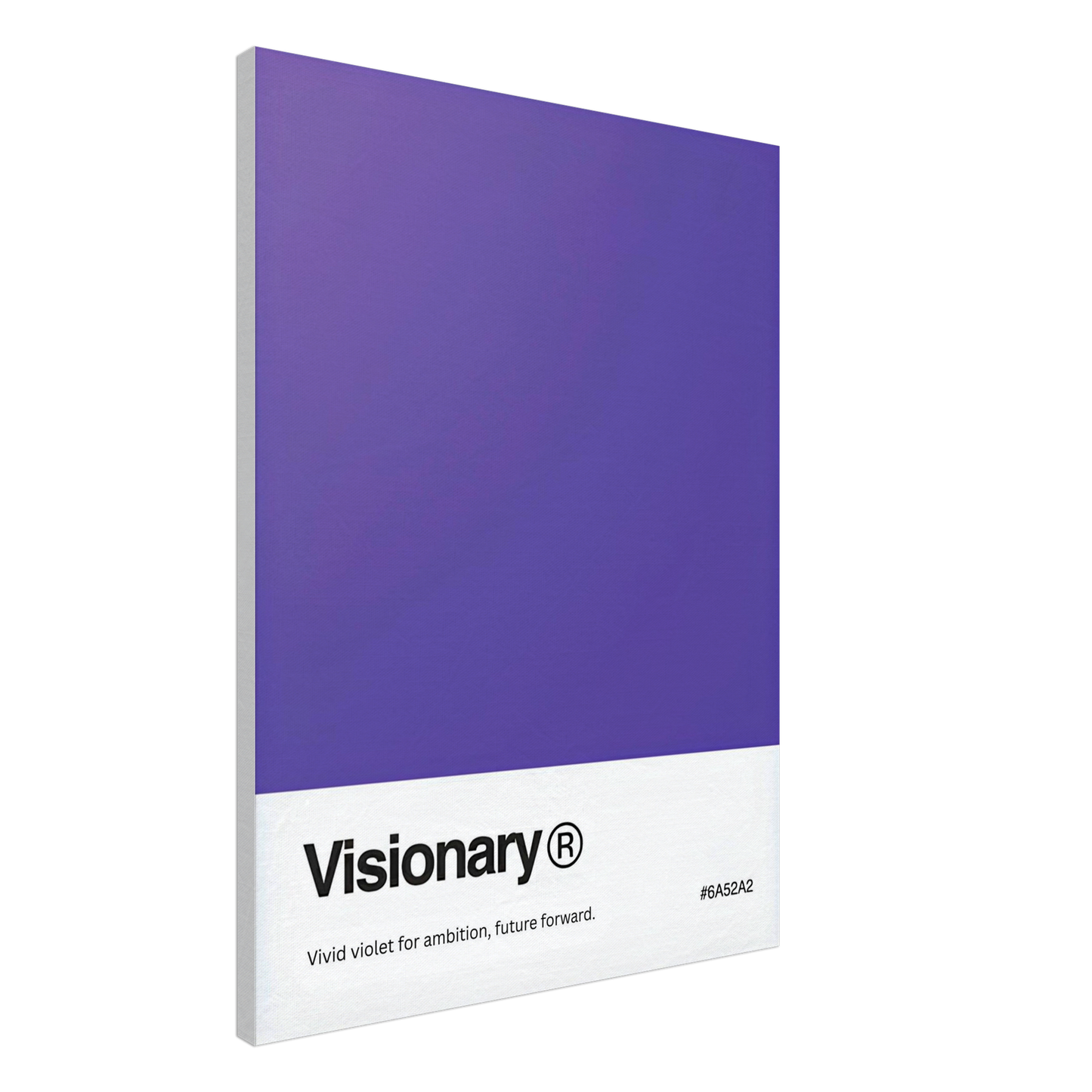 The Visionary