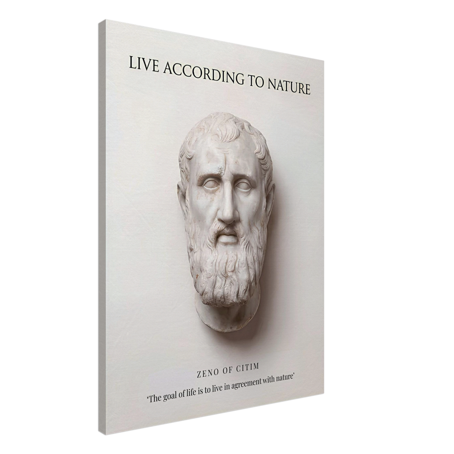 The Stoic Ideal