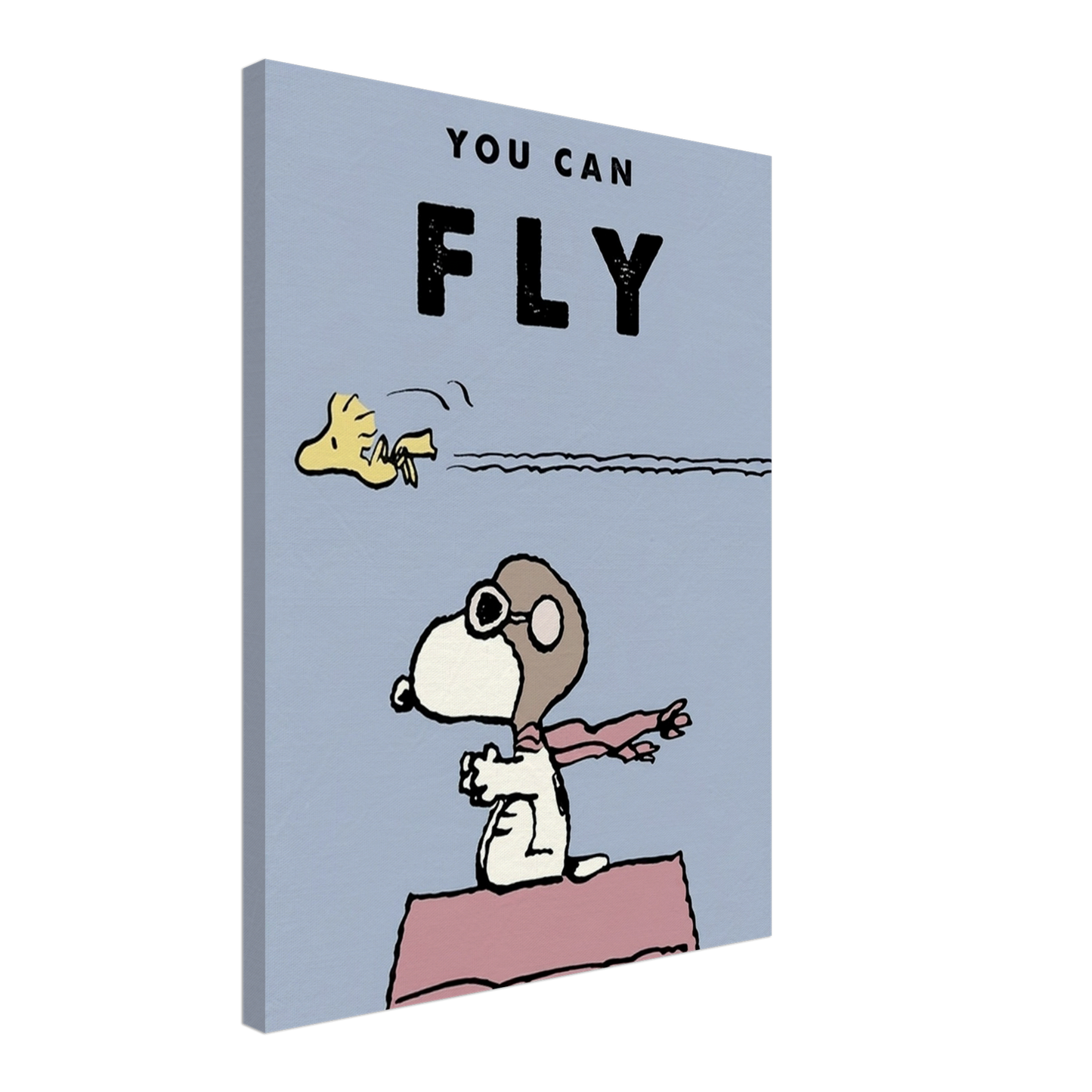 You Can Fly