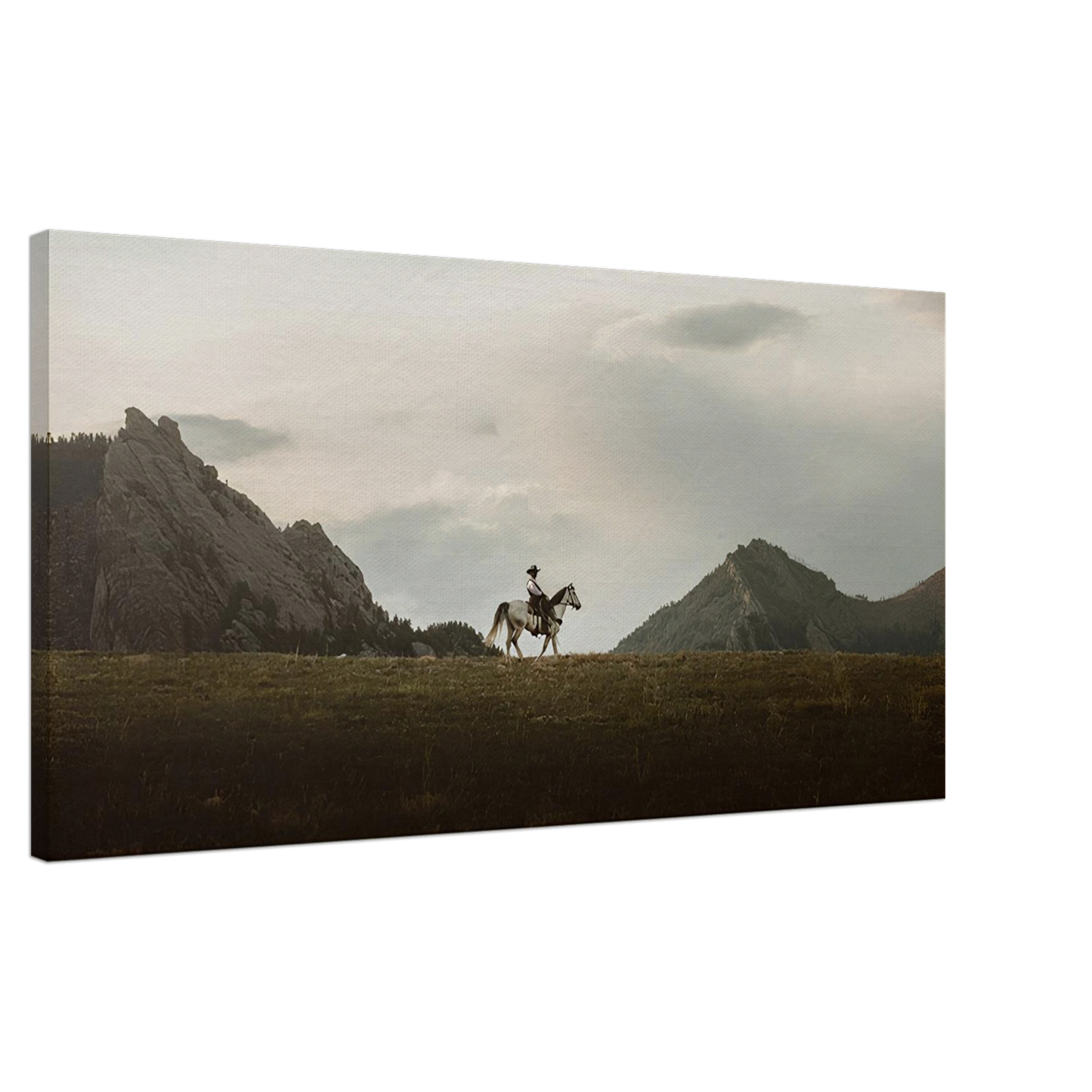 The Lone Rider