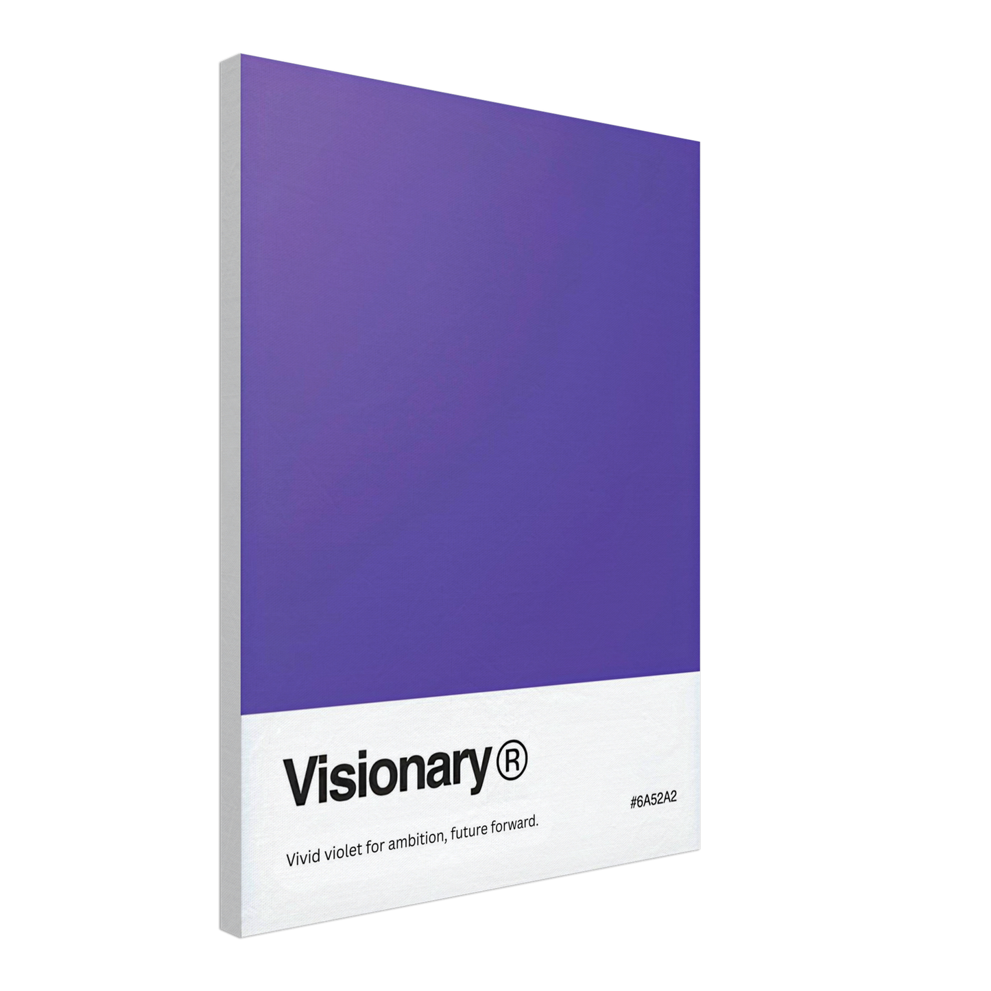 The Visionary