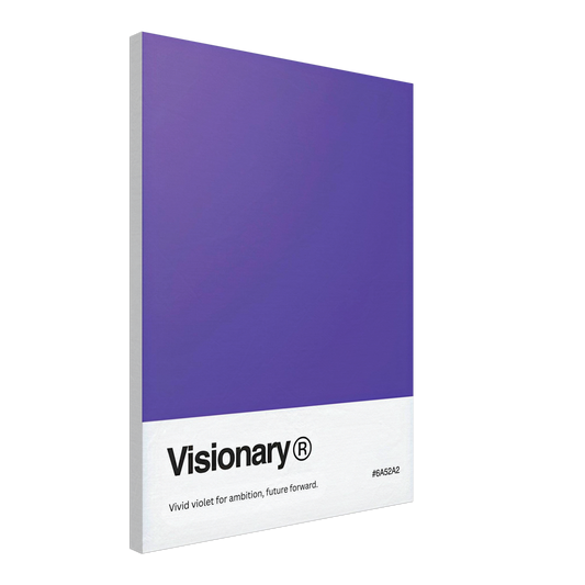 The Visionary