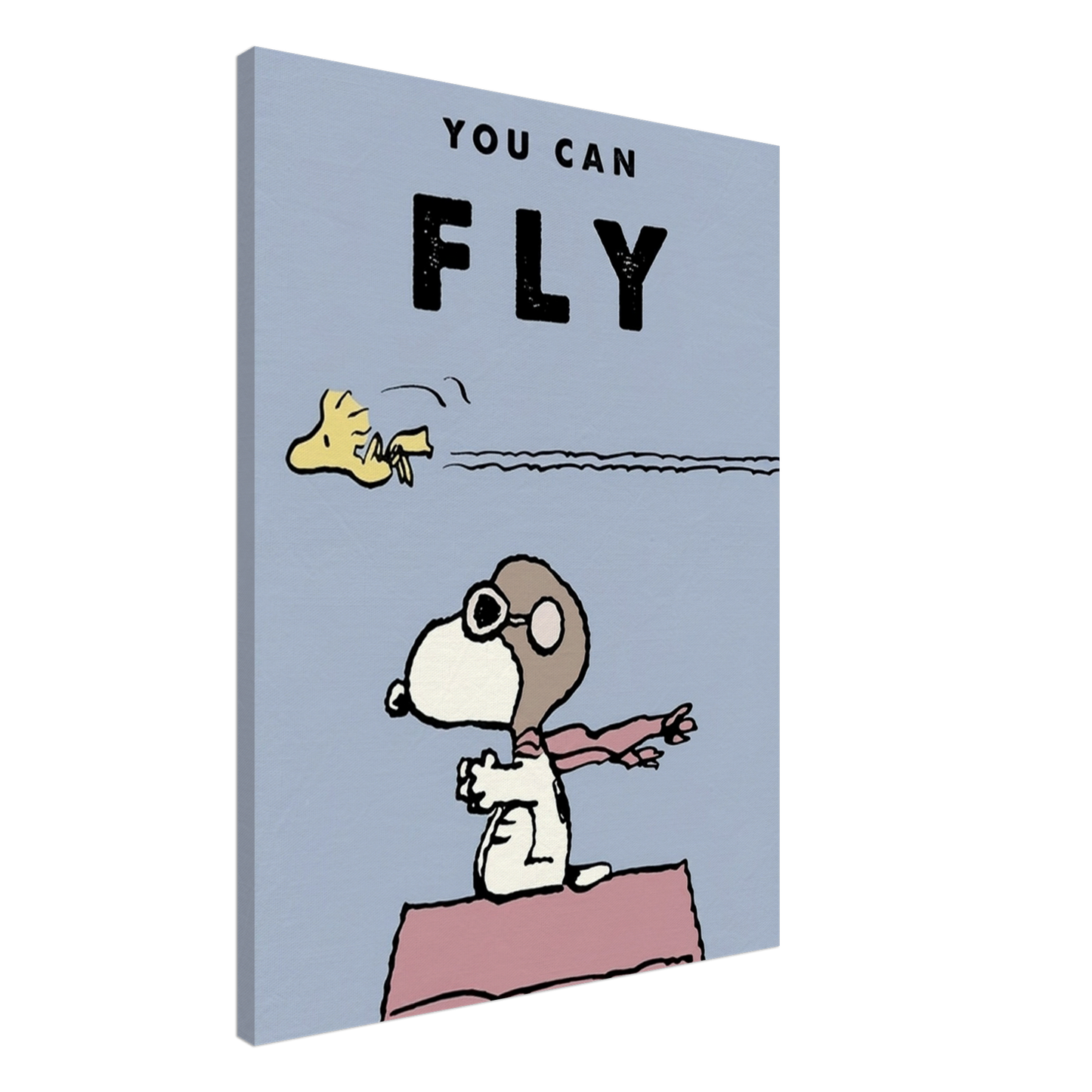 You Can Fly