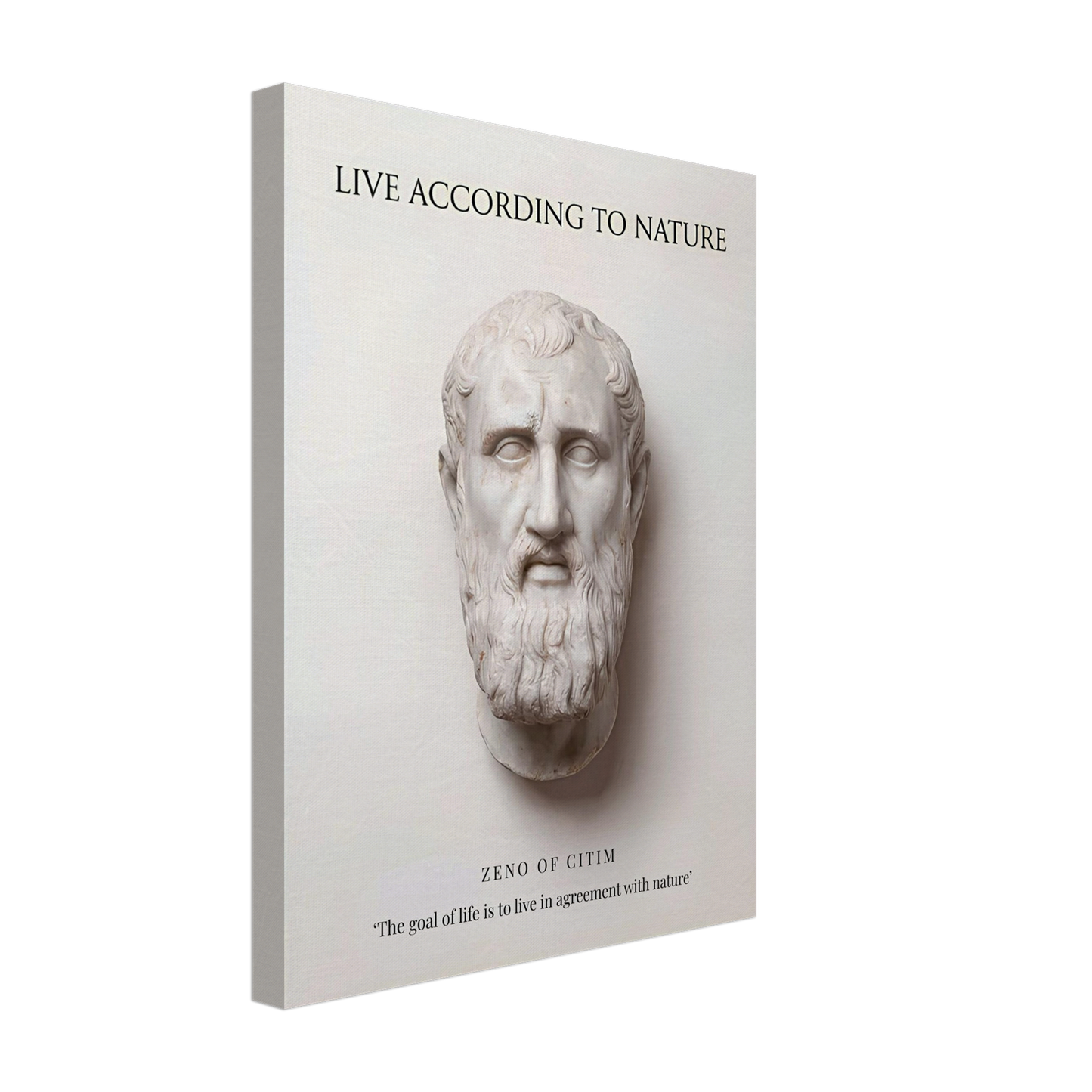 The Stoic Ideal