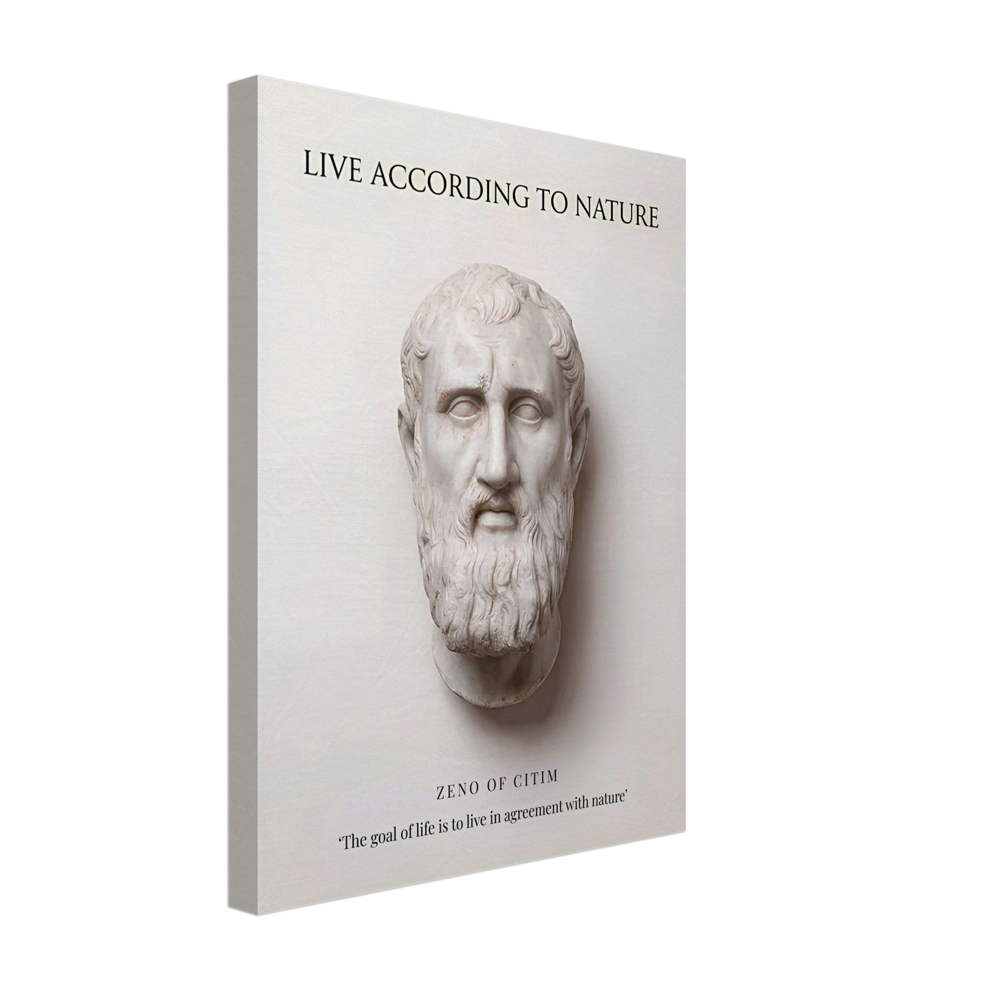 The Stoic Ideal