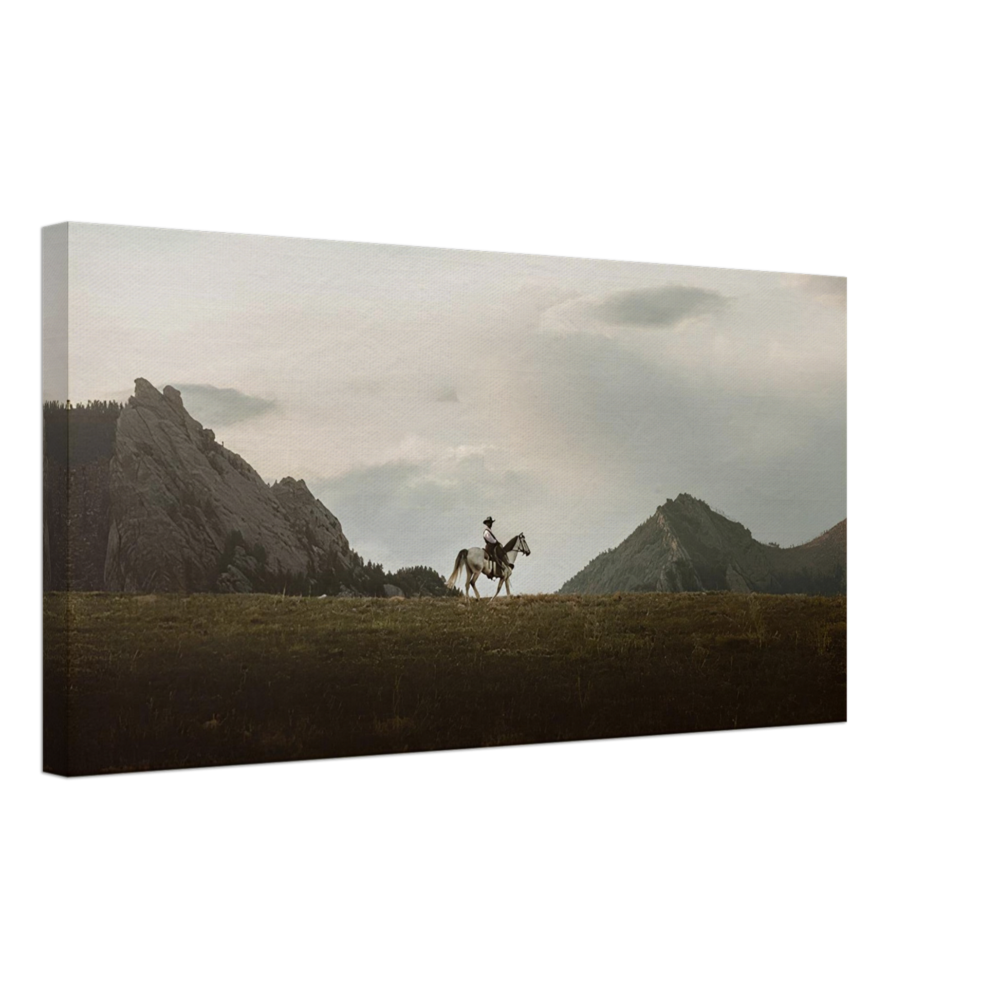 The Lone Rider