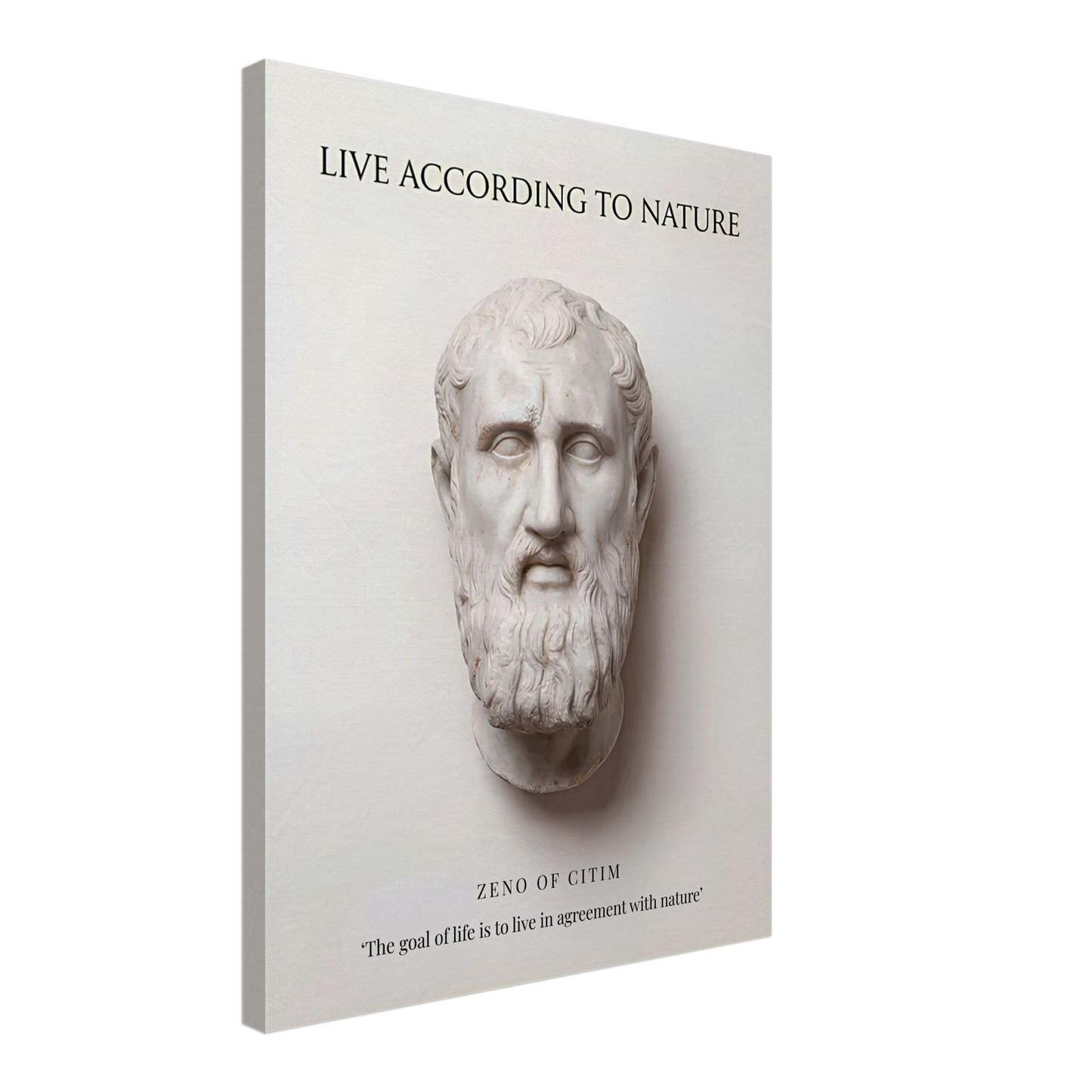 The Stoic Ideal