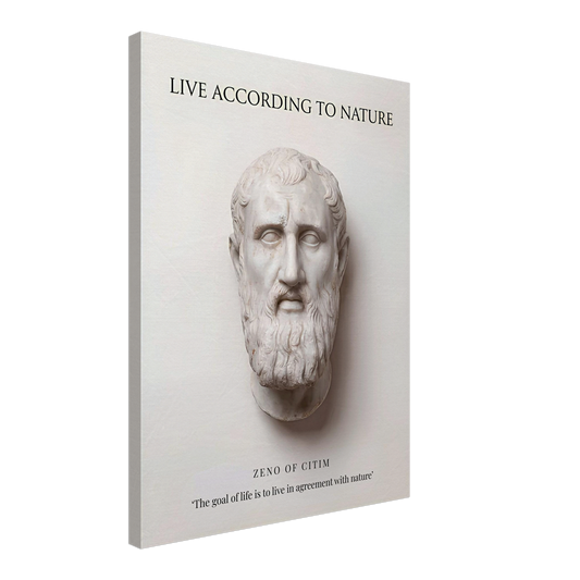 The Stoic Ideal