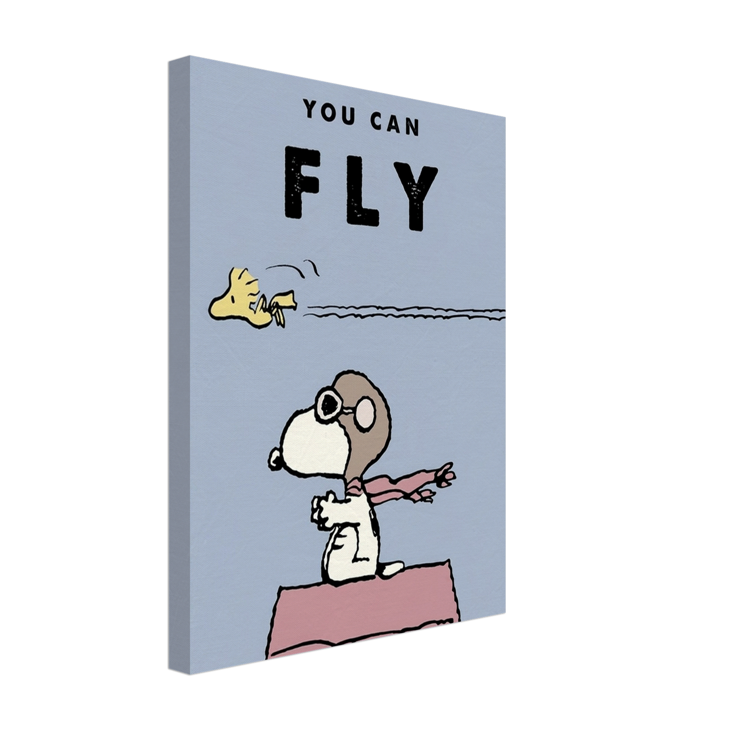 You Can Fly