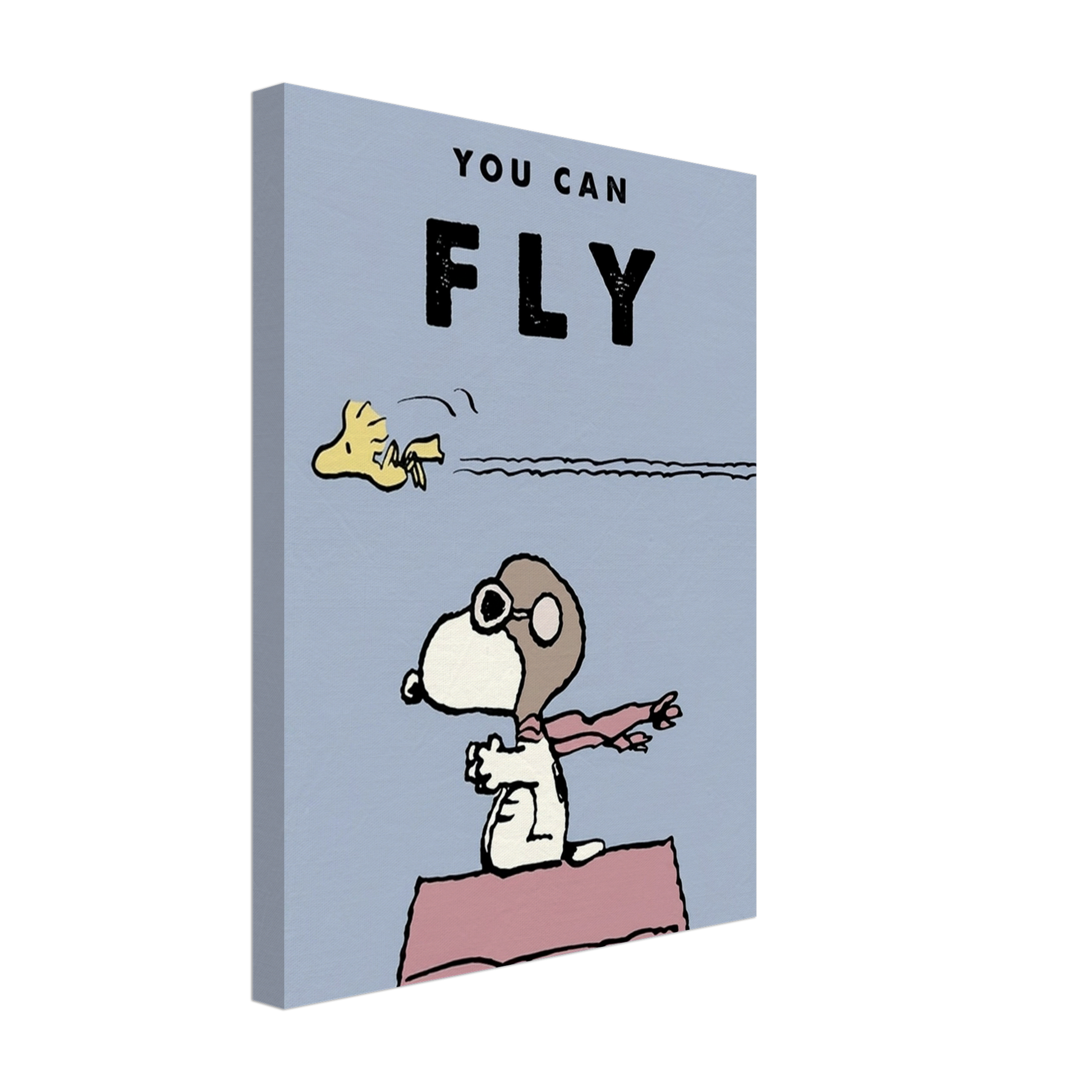 You Can Fly