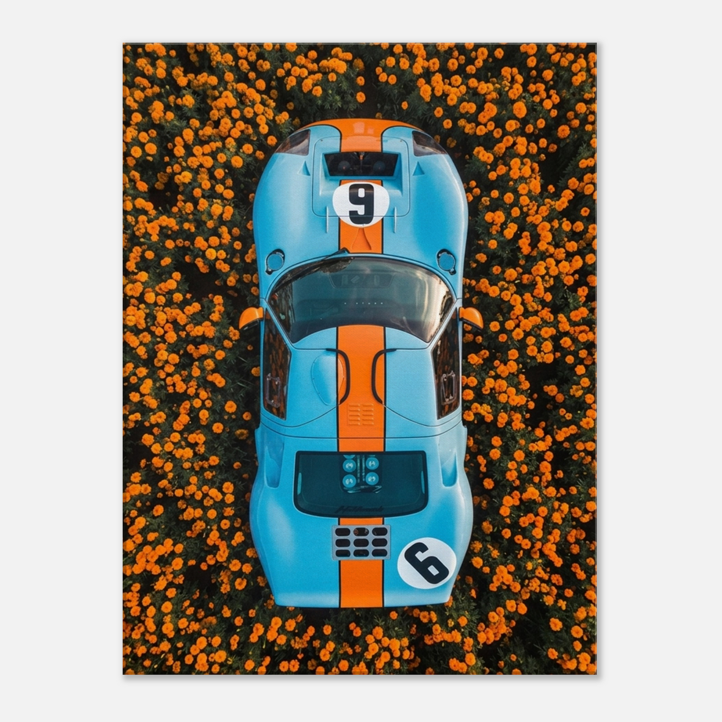 Marigold Endurance