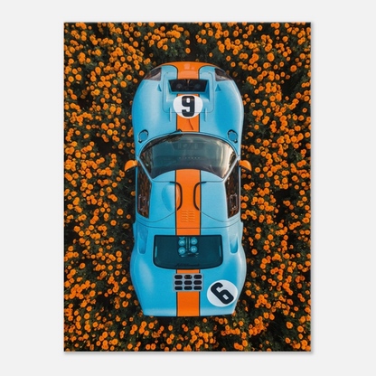 Marigold Endurance