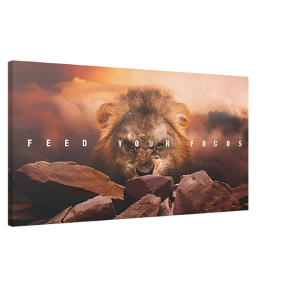 The Lion's Gaze