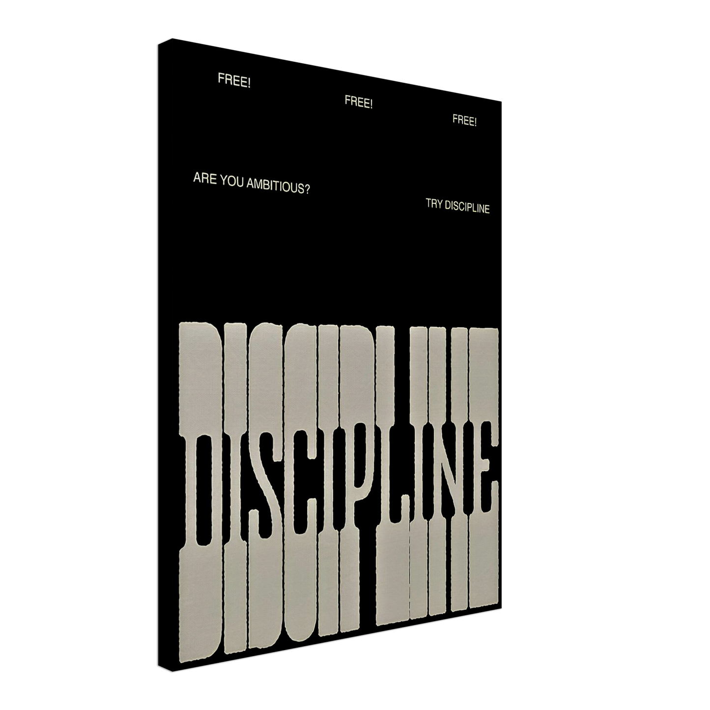 The Discipline