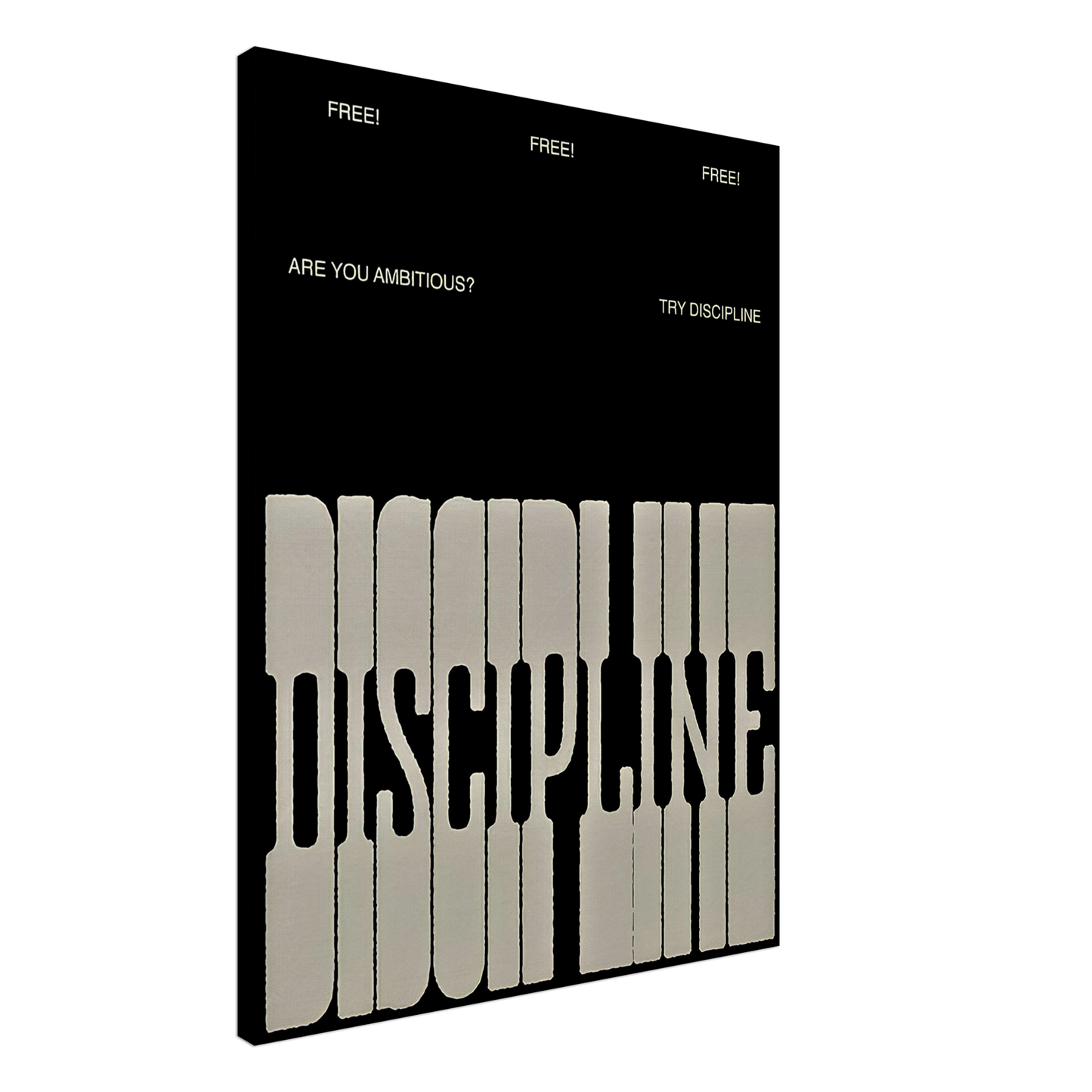 The Discipline