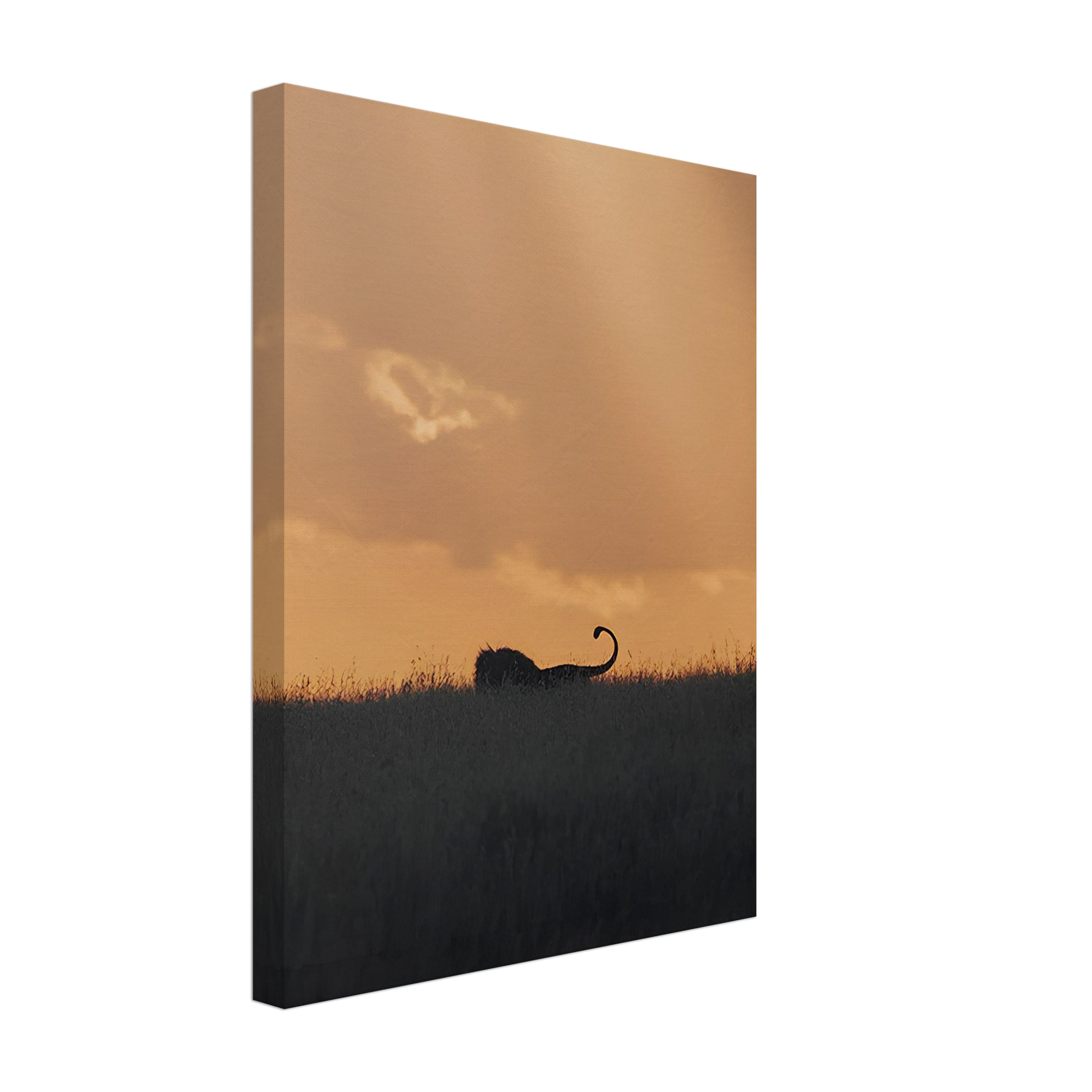 The Shadowed King